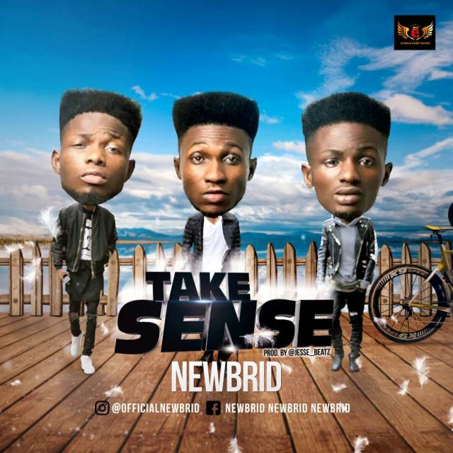 Newbrid - Take Sense